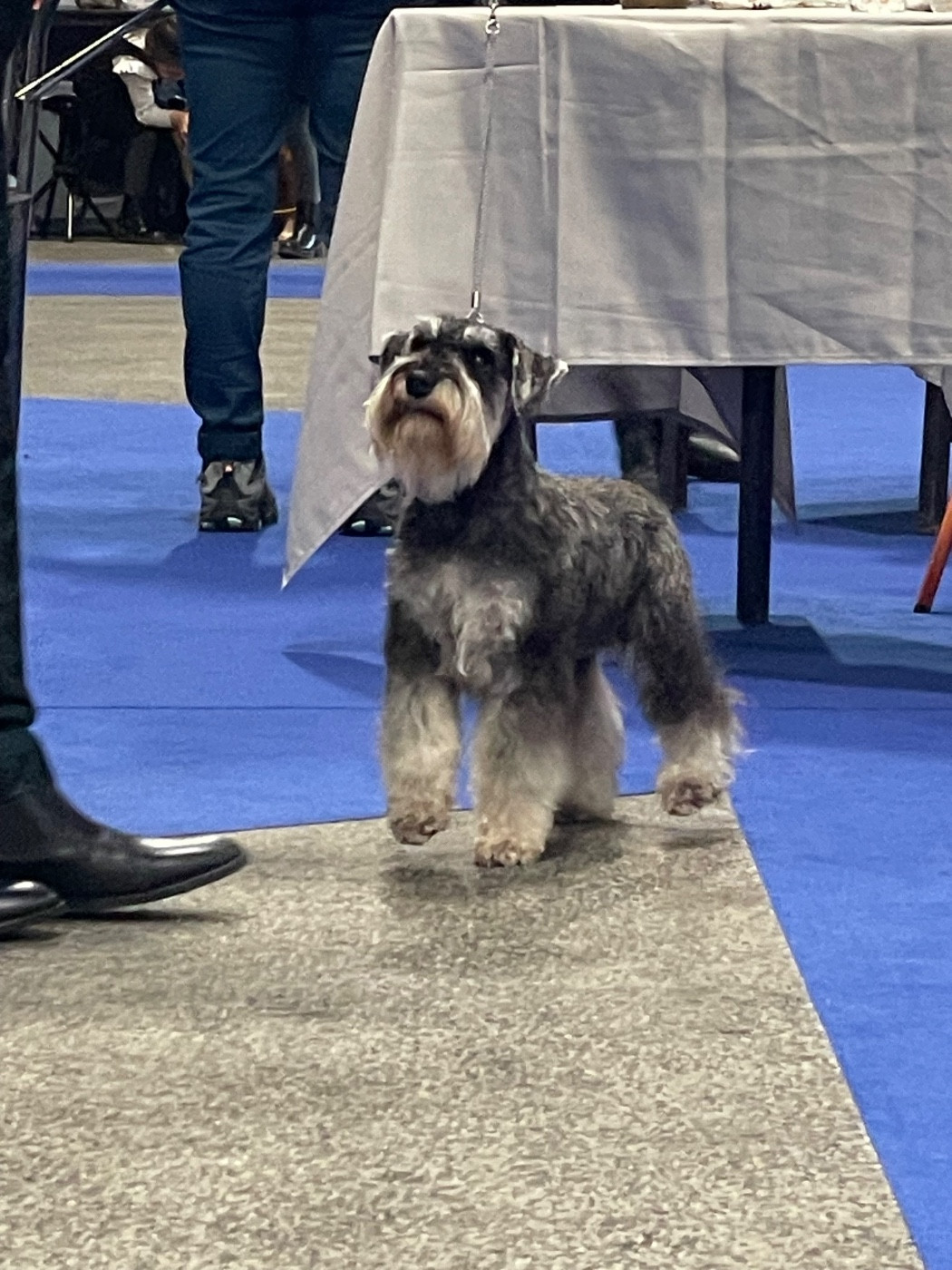 Albert de la Vallee de Buire