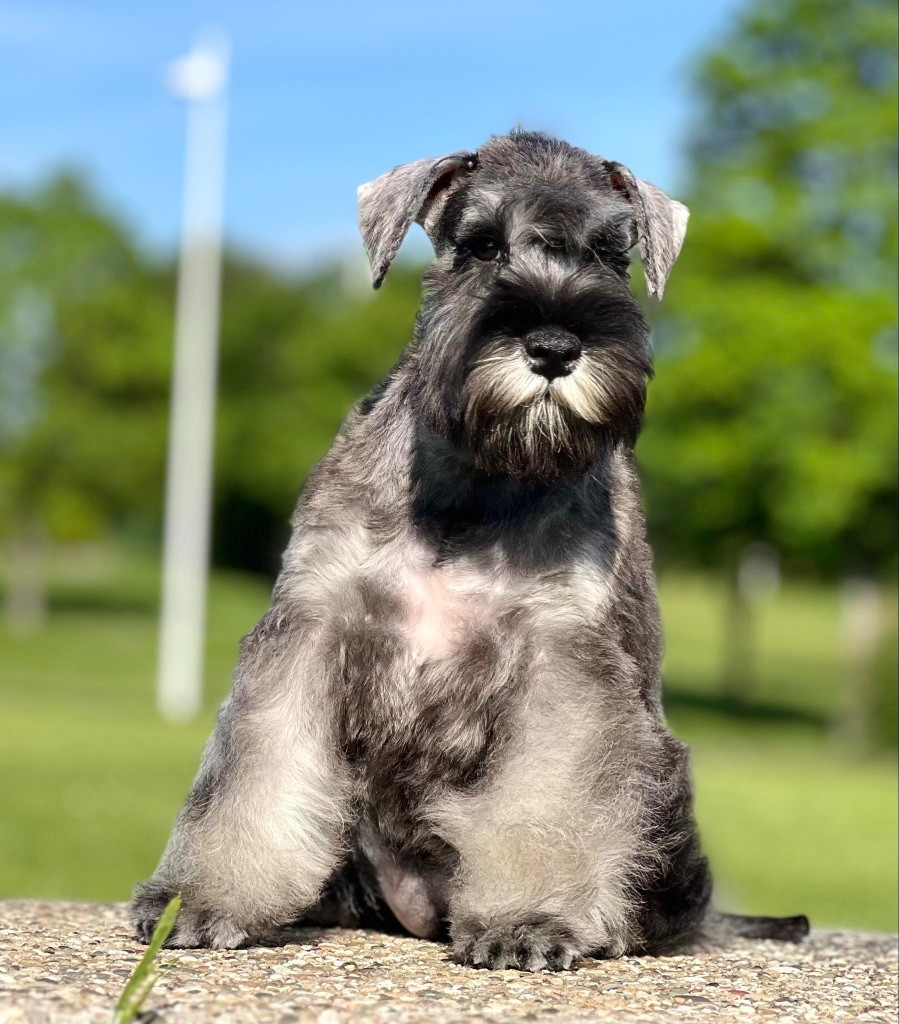 Good-luck more ocharovania